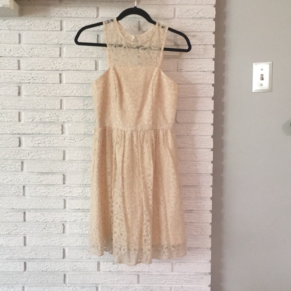 The Limited Lace Fit & Flare Dress - Picture 1 of 4